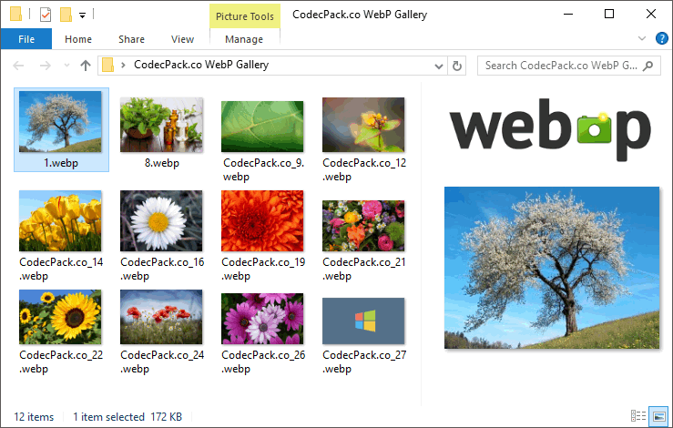 让 Windows 系统看图软件支持 WebP 格式图片